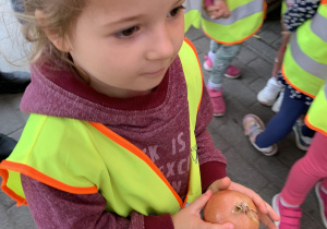 Dziewczynka trzyma w ręce cebulę