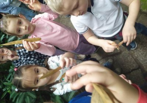 Dzieci pokazują liście bambusa.