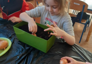 Dzieci sadzą cebule do ziemi w doniczce