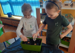 Dziewczynki podlewają zasadzone cebule