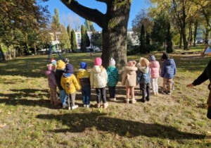 Dzieci oglądają drzewo w jesiennej "szacie"