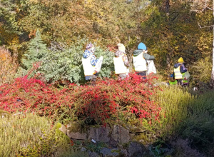 Dzieci spacerują po Arboretum