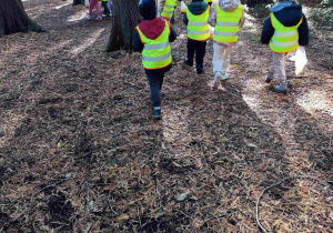 Dzieci idą między drzewami, po suchych liściach.