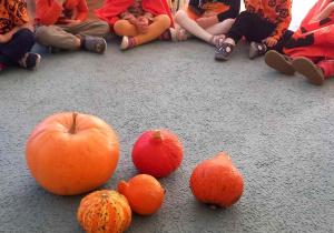 Dzieci siedzą w kole i oglądają dynie