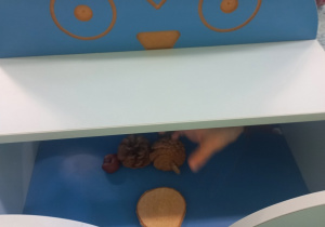 Dzieci rozpoznają po dotyku brązowe przedmioty