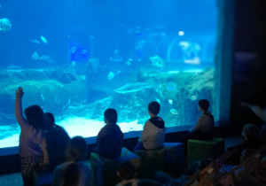 Dzieci stoją przed ogromnym akwarium i obserwują różne gatunki ryb morskich