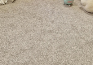 Dzieci jedzą misiowe wafelki