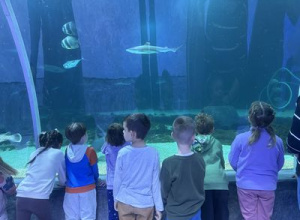 Kilkoro dzieci stoi przed olbrzymim akwarium i ogląda ryby.