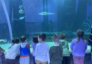 Kilkoro dzieci stoi przed olbrzymim akwarium i ogląda ryby.