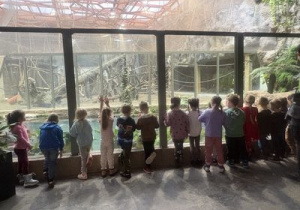 Grupka dzieci stoi przed wybiegiem dla orangutanów i ogląda zwierzęta.