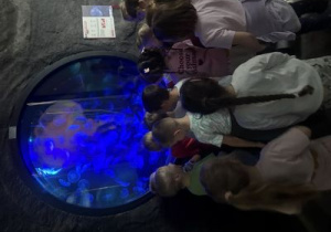 Kilkoro dzieci stoi przed akwarium i ogląda meduzy.