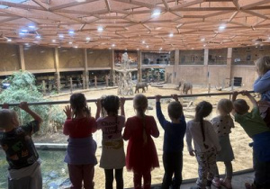 Grupka dzieci stoi przed wybiegiem dla słoni i ogląda zwierzęta.