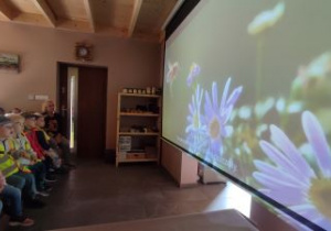 Dzieci oglądają film o pszczołach