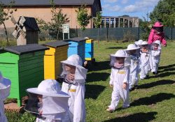 Grupka dzieci w kombinezonach przechodzi obok kolorowych uli