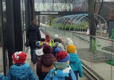 Grupa dzieci wraz z nauczycielką idzie w stronę Orientarium