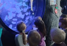 Grupka dzieci obserwuje akwarium z meduzami