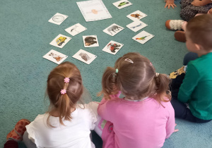 Dzieci siedzą na dywanie i patrzą się na rozłożone obrazki
