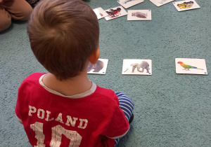 Chłopiec siedzi na dywanie przed rozłożonymi obrazkami i powtarza wyrazy podane przez nauczyciela