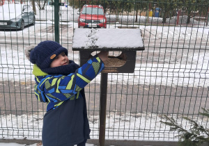 Dziecko stoi obok karmnika i dosypuje do niego ziarenek.