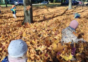 Dzieci biegają po jesiennych, brązowych liściach, podrzucają je.