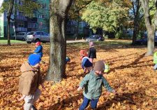 Dzieci stoją wśród drzew na trawniku zaspanym brązowymi, suchymi liśćmi.