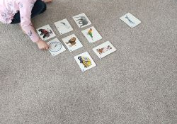 Dziewczynka wskazuje jedną z ilustracji.