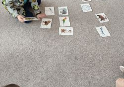 Chłopiec wskazuje jedną z ilustracji.