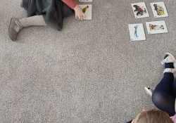 Dziewczynka spośród wielu obrazków wybrała ilustrację słonia i koguta.