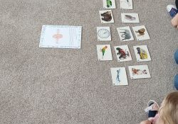 Na dywanie rozłożone wiele ilustracji zwierząt. Dokoła siedzą dzieci.