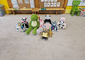 misie obecne w naszej grupie