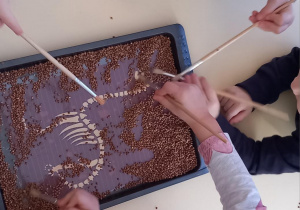 Dzieci pędzelkami odszukują w kaszy gryczanej szczątków dinozaura