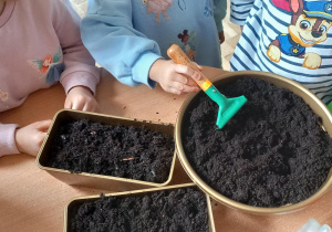 Dziewczynka grabi grabkami