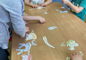 Dzieci układają szkielety dinozaurów