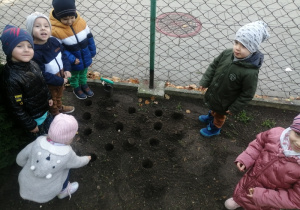 dzieci sadzą cebulki tulipanów