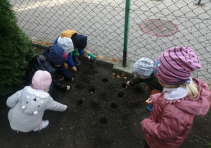 dzieci sadzą cebulki tulipanów